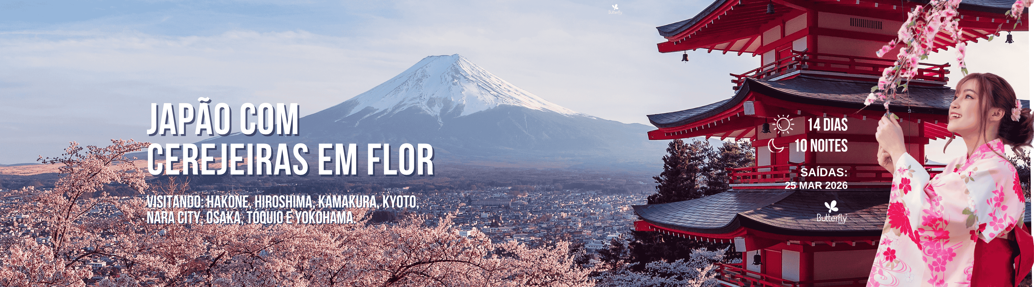 japão com cerejeiras