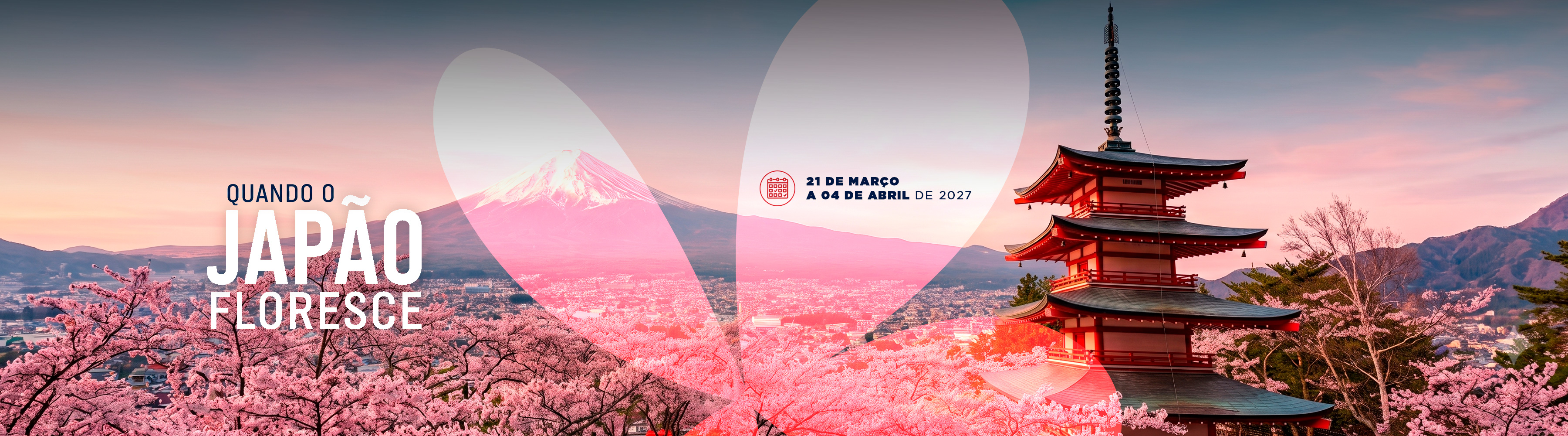 Jap&atilde;o, com cerejeiras em flor!